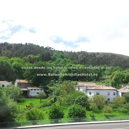Bufon De Arenillas