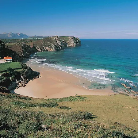 Bufon De Arenillas 3*