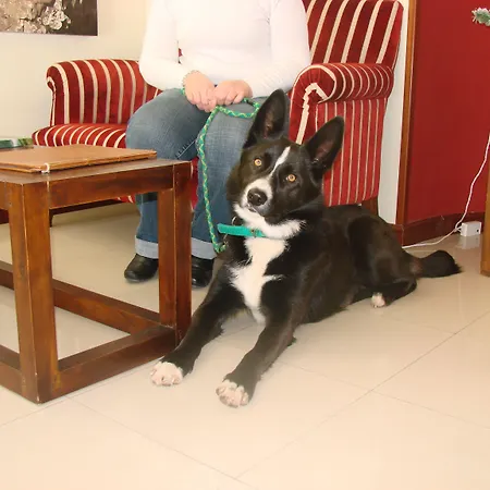 Отель Bufon De Arenillas