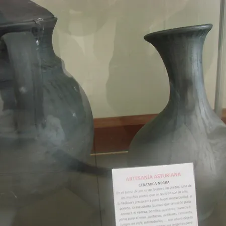 Отель Bufon De Arenillas Vidiago