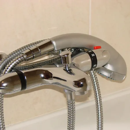 Bufon De Arenillas Vidiago