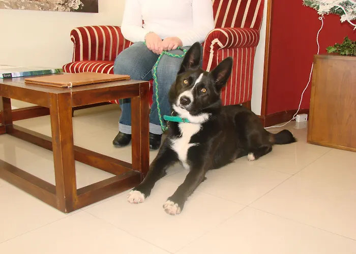 Hotel Bufon De Arenillas