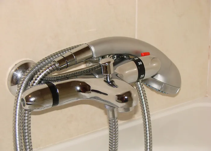 Bufon De Arenillas Vidiago