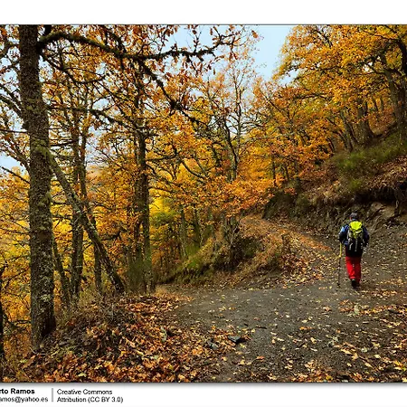 酒店 Bufon De Arenillas Vidiago