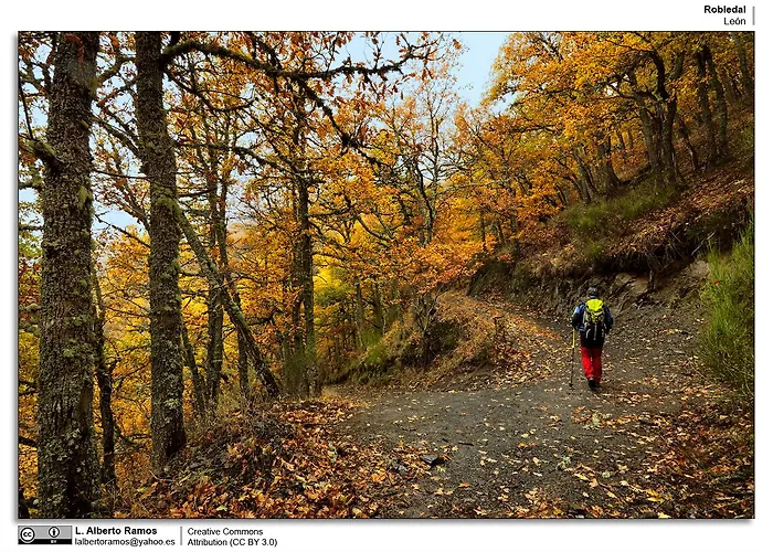 Hotel Bufon De Arenillas Vidiago